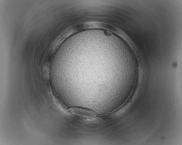 X0000115440857200911181522