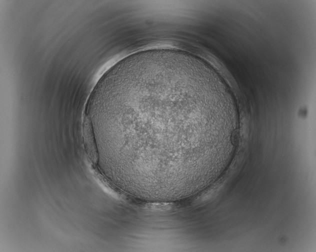 X0000115440858200911181522