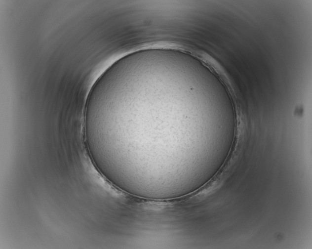 X0000115440860200911181522