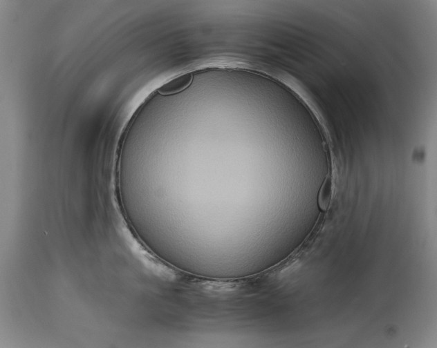 X0000115440861200911181522