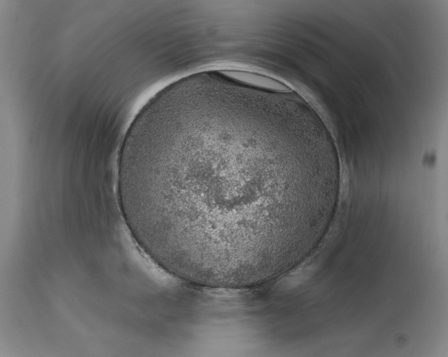 X0000115440862200911181522