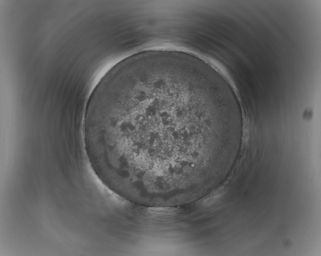 X0000115440863200911181522