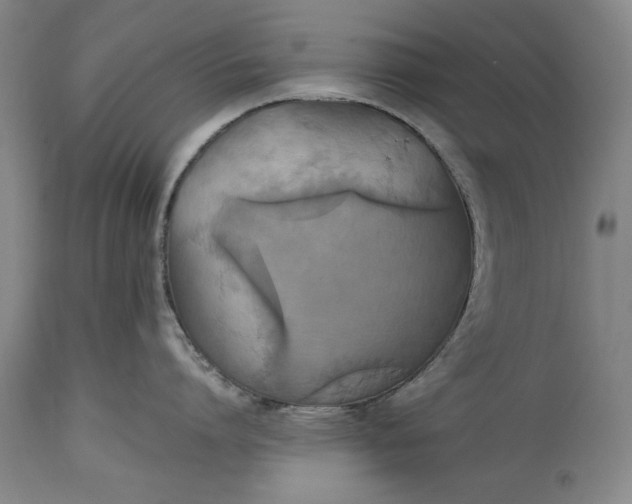 X0000115440864200911181522