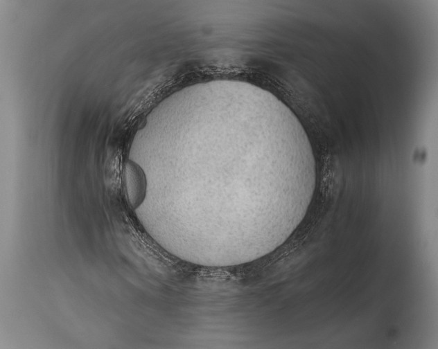 X0000115440866200911181521