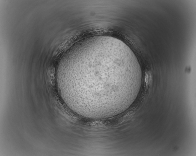 X0000115440867200911181521
