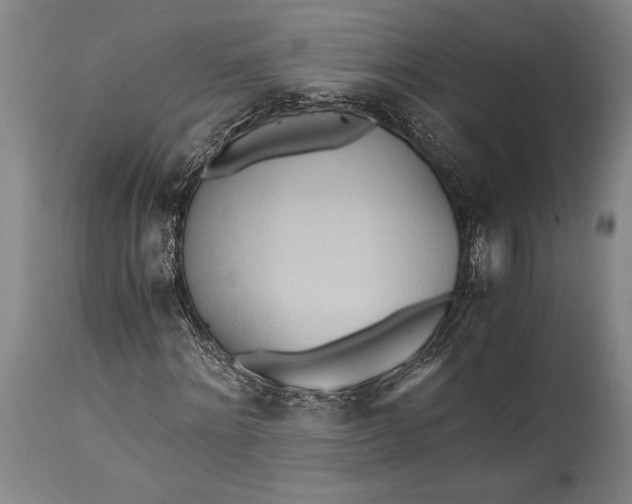 X0000115440868200911181521