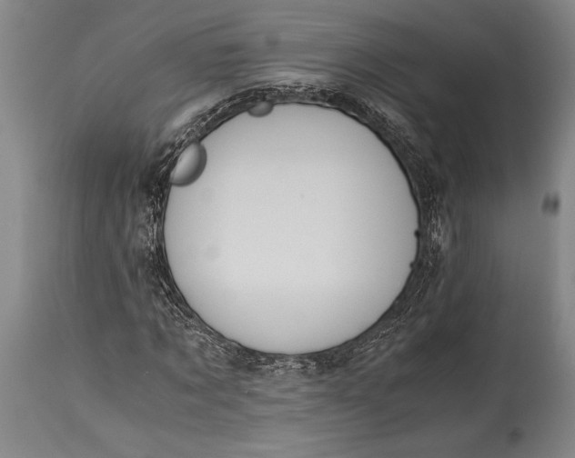 X0000115440869200911181521