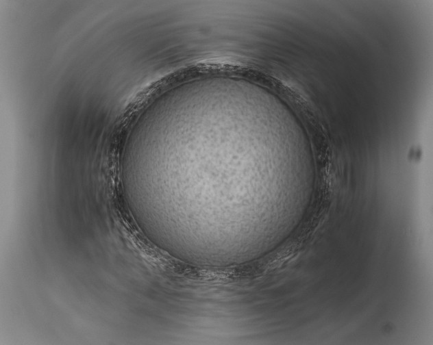 X0000115440870200911181521