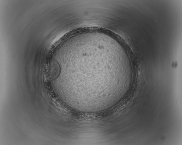 X0000115440871200911181521