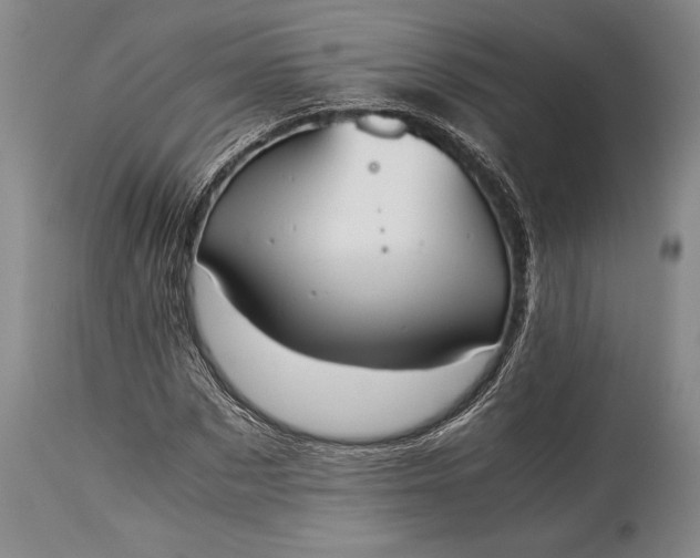 X0000115440873200911181521