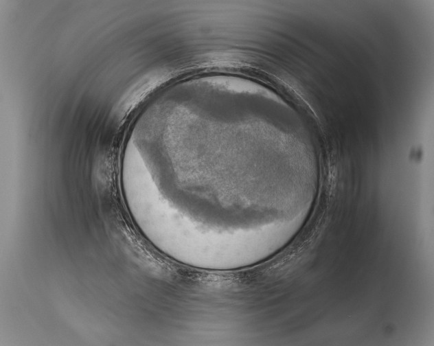 X0000115440874200911181521