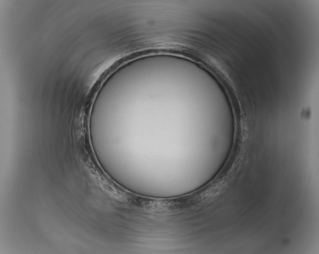 X0000115440875200911181521