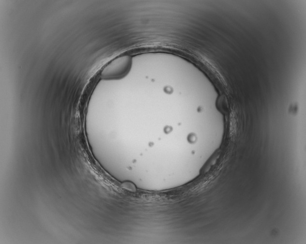 X0000115440876200911181521