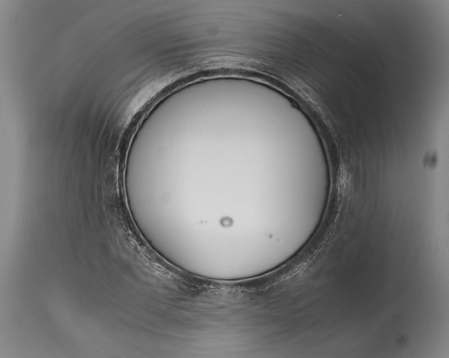 X0000115440877200911181521