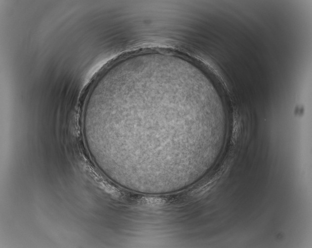 X0000115440878200911181521