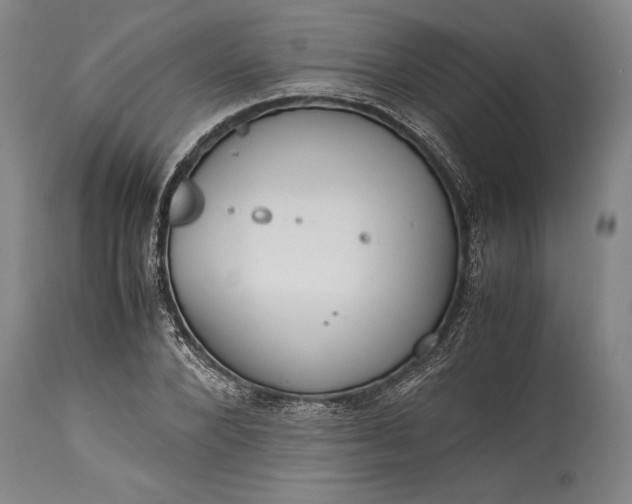 X0000115440880200911181521