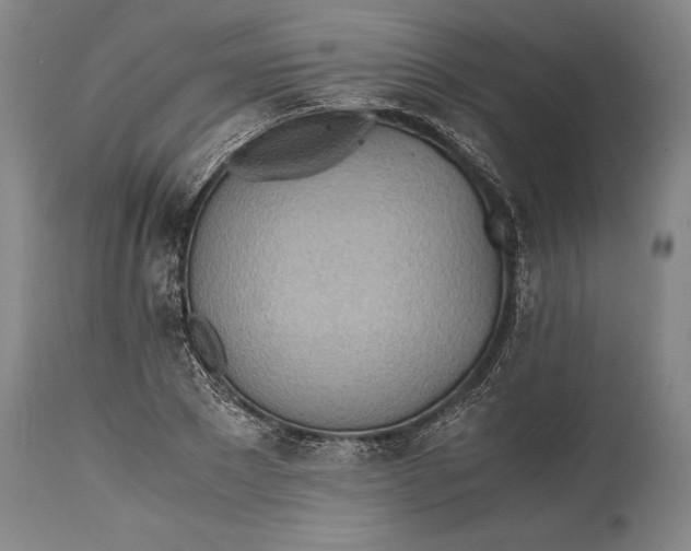 X0000115440881200911181521