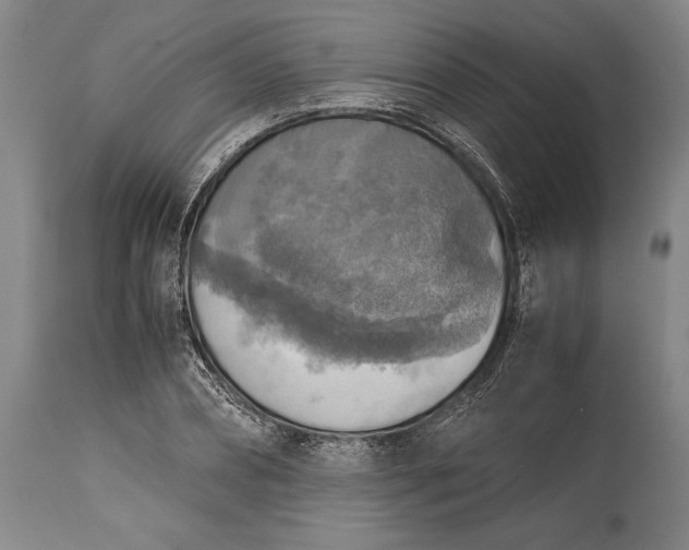 X0000115440882200911181521
