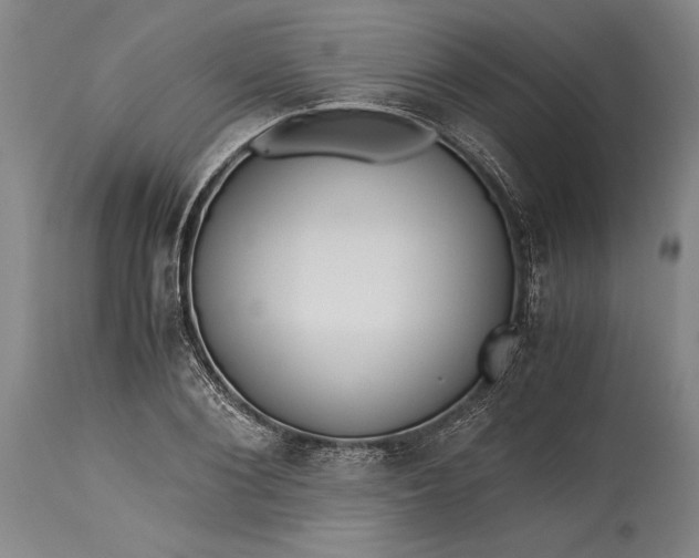 X0000115440884200911181521