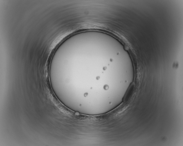 X0000115440885200911181521