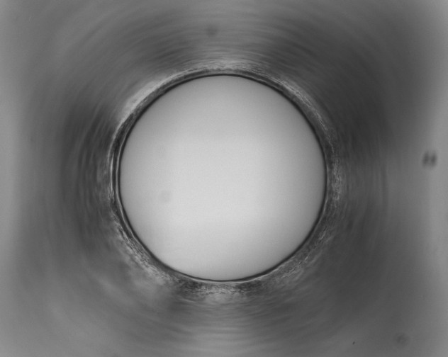 X0000115440886200911181521