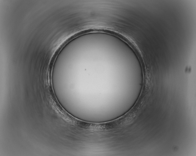 X0000115440887200911181521