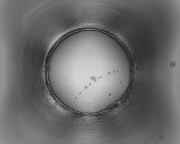 X0000115440888200911181521