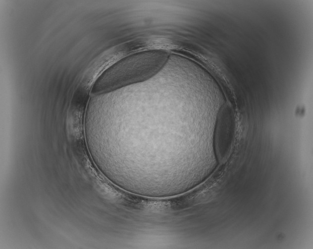 X0000115440889200911181521