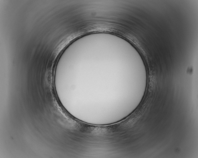 X0000115440890200911181521