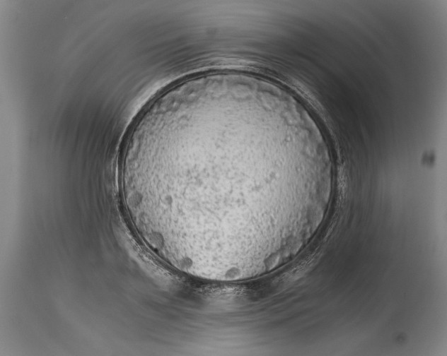 X0000115440891200911181521