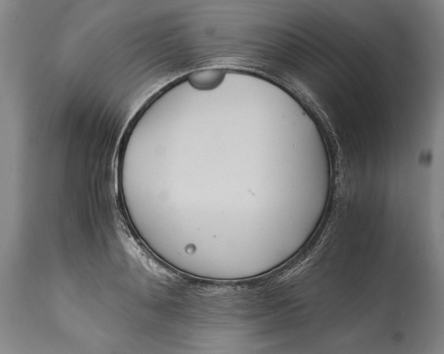 X0000115440892200911181521