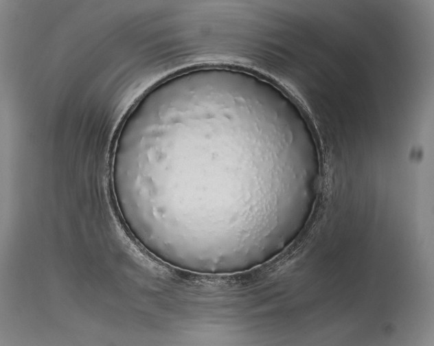 X0000115440895200911181520