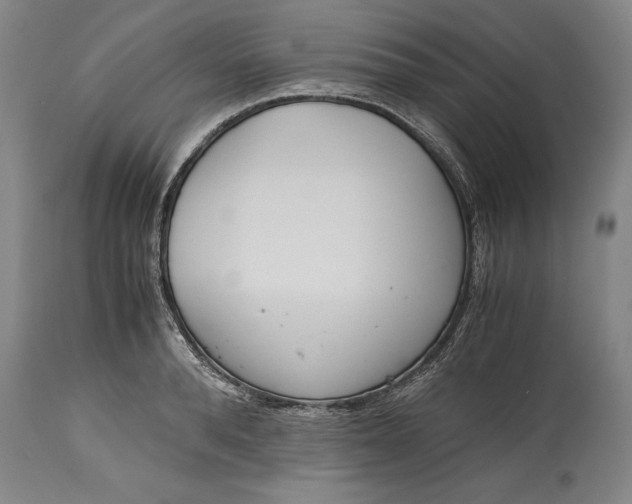 X0000115440896200911181520