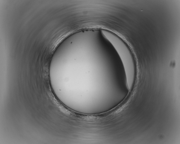 X0000115440897200911181520