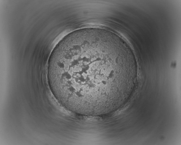 X0000115440899200911181520
