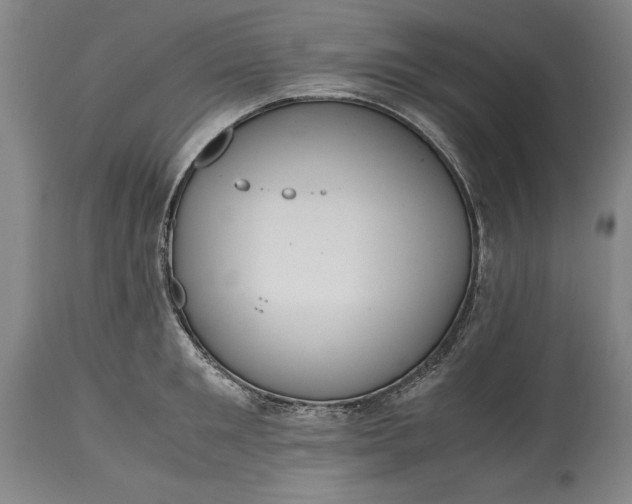 X0000115440901200911181520