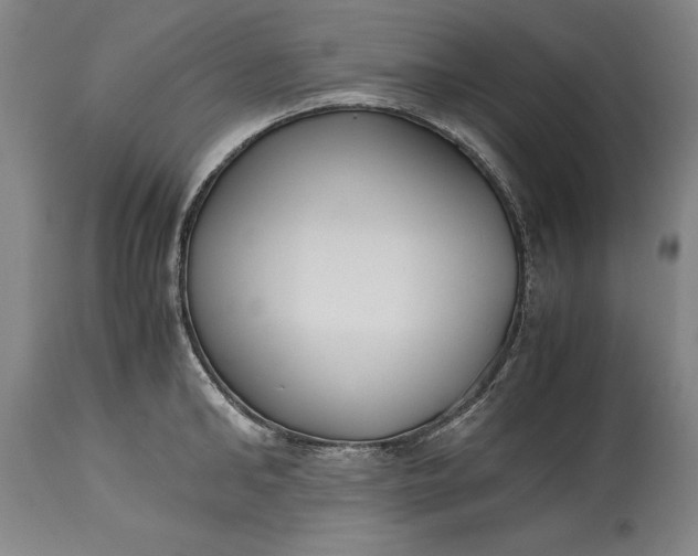 X0000115440902200911181520