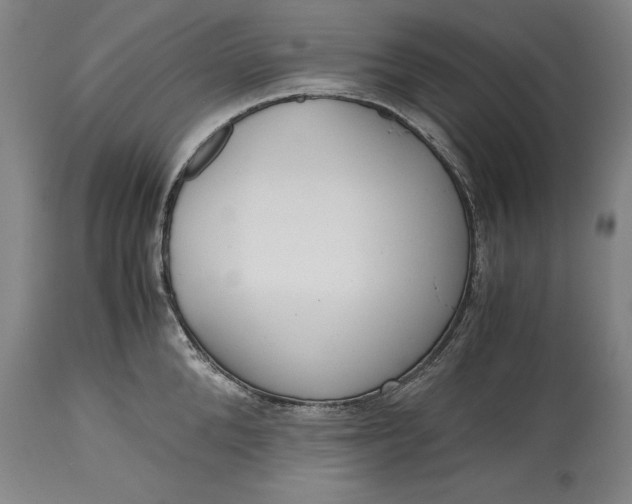X0000115440904200911181520