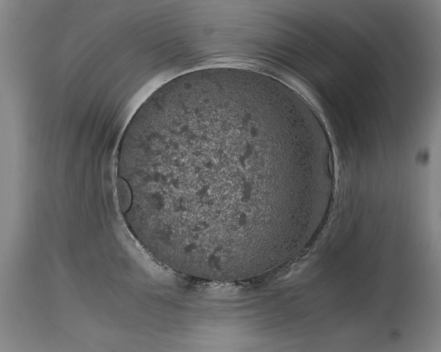 X0000115440907200911181520
