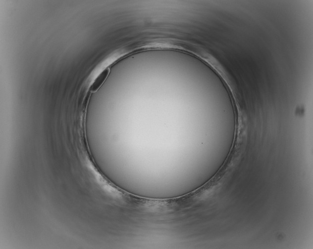 X0000115440909200911181520