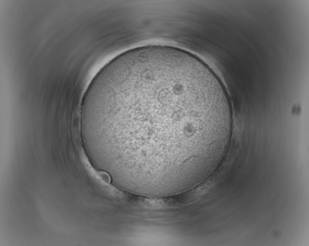 X0000115440911200911181520