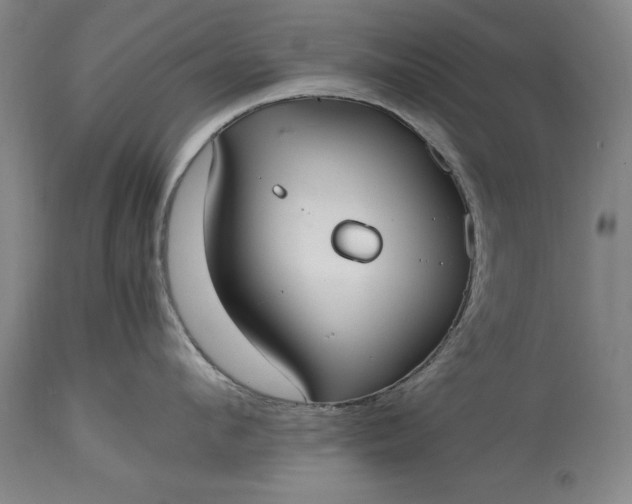 X0000115440912200911181520