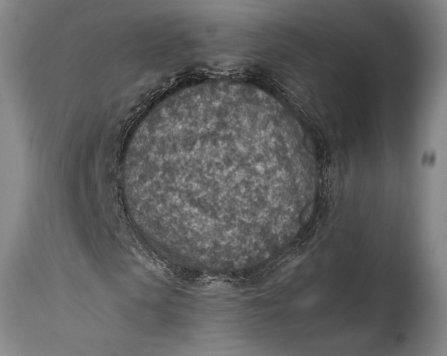 X0000115440913200911181520