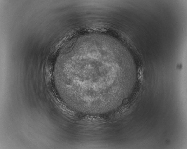 X0000115440915200911181520