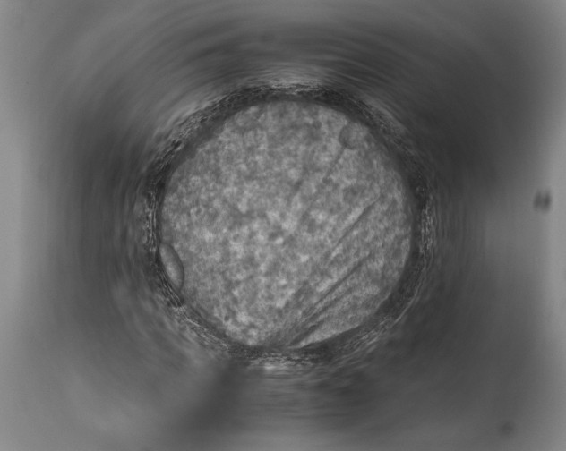 X0000115440917200911181520