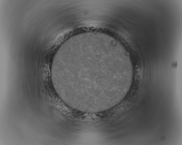 X0000115440918200911181520