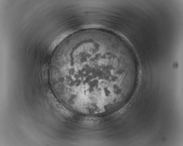 X0000115440921200911181520