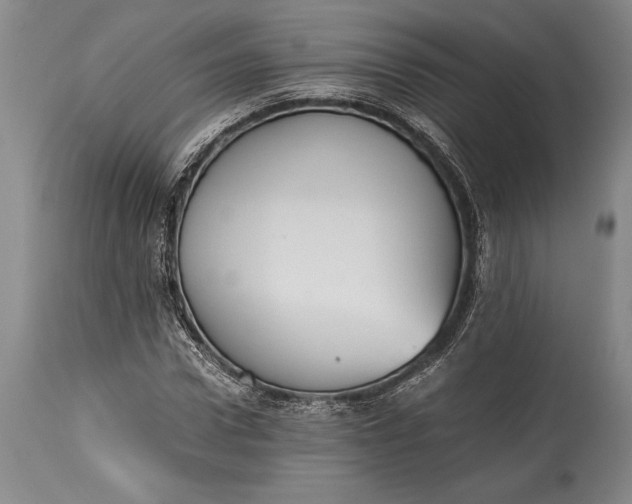 X0000115440922200911181520