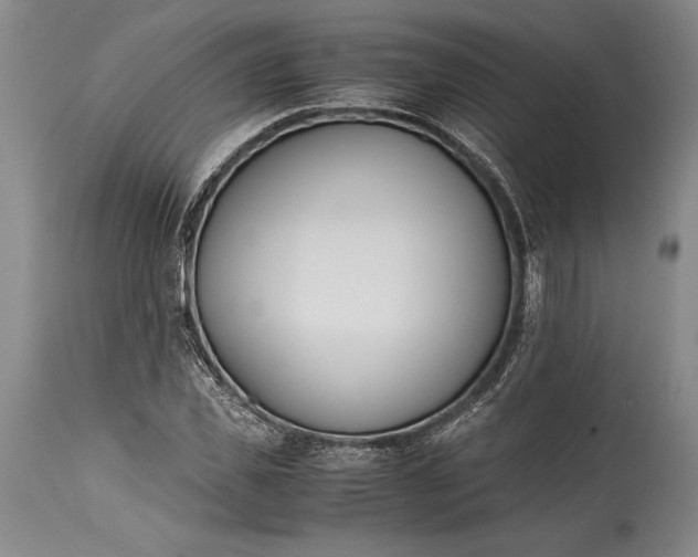 X0000115440925200911181520
