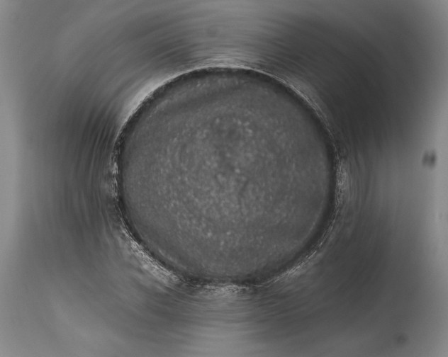 X0000115440926200911181520